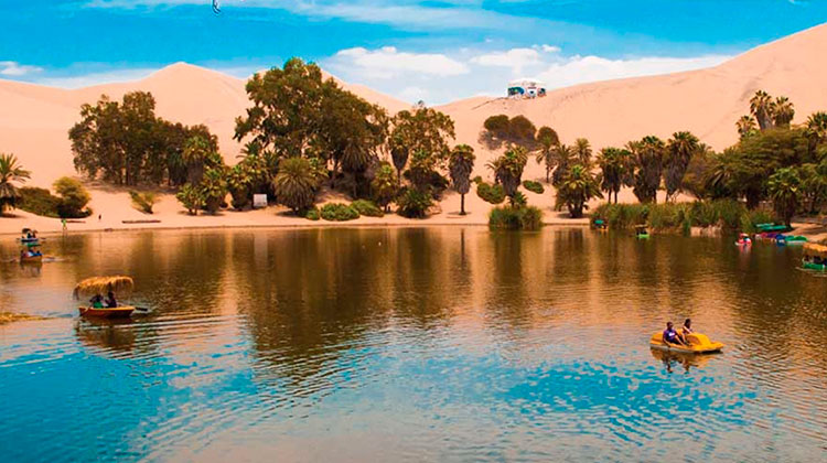 TOUR EN PARACAS E ISLA BALLESTAS