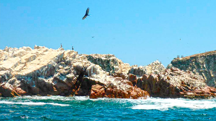 OUR IN THE BALLESTAS ISLANDS, PARACAS RESERVE AND TRIP TO LIMA  RETURN TO LIMA