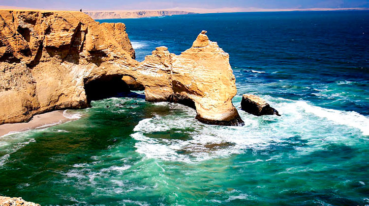 Viaje en bus de Lima a Paracas, Tour a las Islas Ballestas y la Reserva de Paracas.