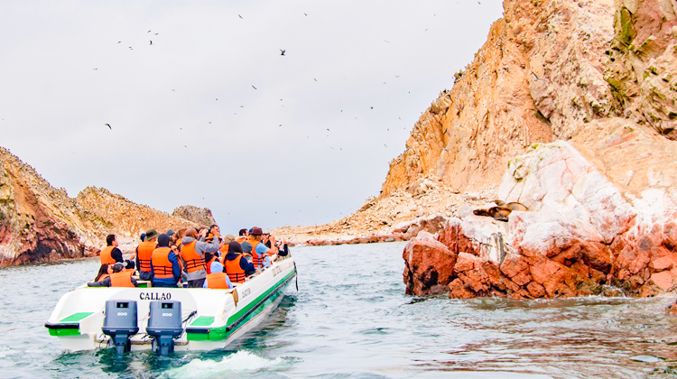 TOUR PARACAS BALLESTAS FULL DAY