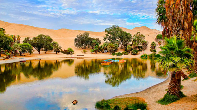 PARACAS BALLESTAS Y HUACACHINA