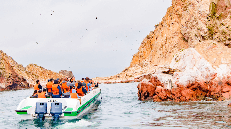 TOUR PARACAS BALLESTAS FULL DAY